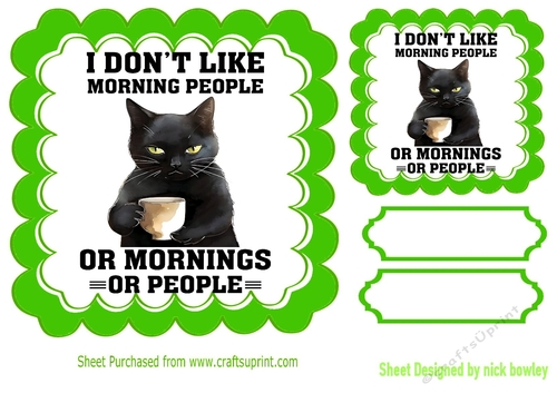 Black Cat With Comic Caption In Green Scalloped 7x7 Frame