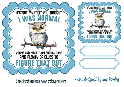 Cute Cristmas Scene With Owl And Caption 7x7 (one)
