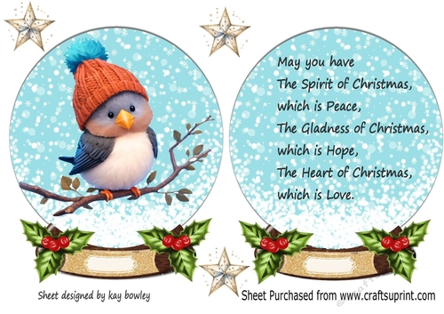 Cute Robin In Snow Globe with Holly & Stars & Insert (One)