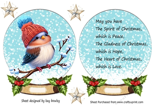 Cute Robin In Snow Globe with Holly & Stars & Insert (Two)