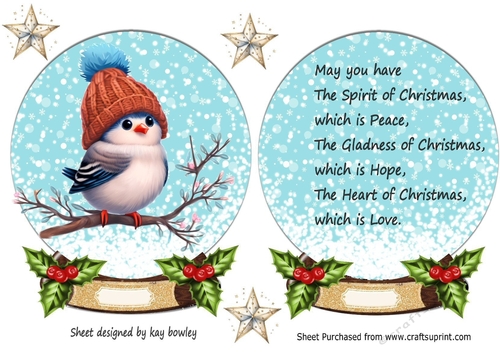 Cute Robin In Snow Globe with Holly & Stars & Insert (Three)