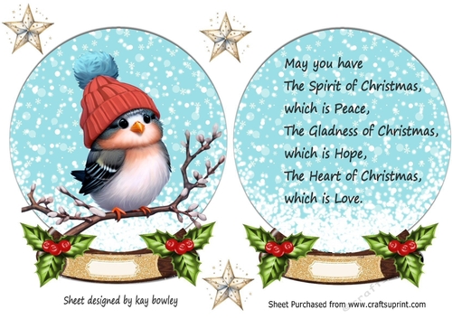 Cute Robin In Snow Globe with Holly & Stars & Insert (Four)