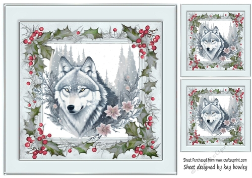 Winter White Wolf In Grey Holly Red Berry 8X8 (Three)