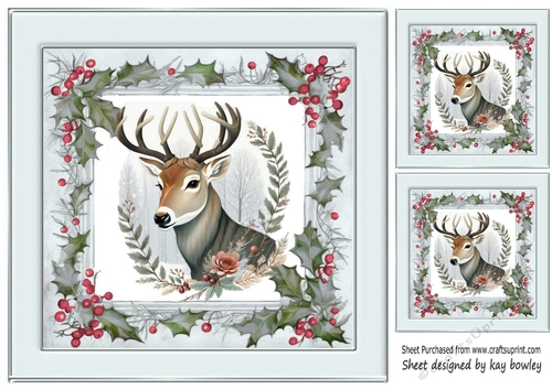 Winter White Reindeer In Grey Holly Red Berry 8X8 (one)