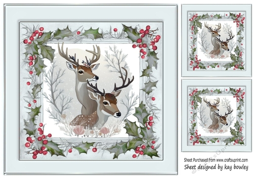 Winter White Reindeer In Grey Holly Red Berry 8X8 (Two)