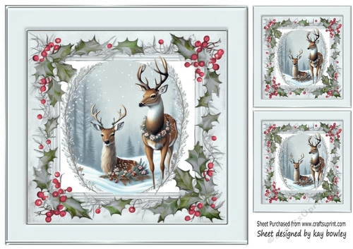 Winter White Reindeer In Grey Holly Red Berry 8X8 (Four)