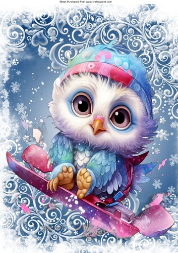 Lovely Blue & White Snowflakes With Owl Skater A4