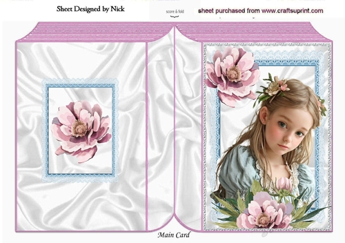 Pretty Girl With Pink Peonies And Blue Lace Folded Book (Four)