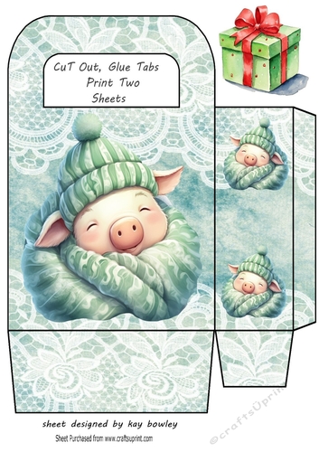 Sleepy Pig In A Hat With Turq Small Gift Bag