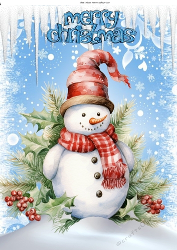 Lovely Ice  Blue & White Snowflakes And With Snowman A4 (Four)