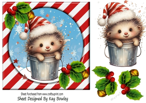 Cute Hedgehog In Santa Hat With Red/Stripe 7x7 Frame( One)