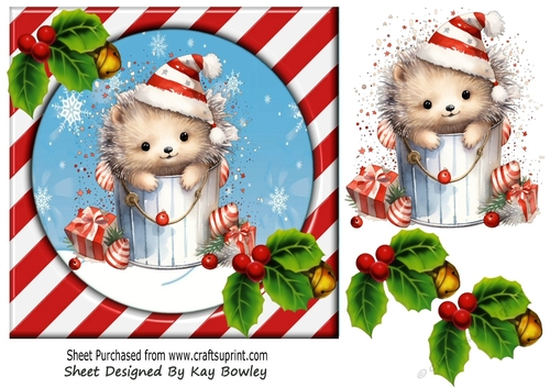 Cute Hedgehog In Santa Hat With Red/Stripe 7x7 Frame( Two)