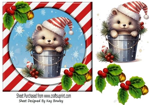 Cute Hedgehog In Santa Hat With Red/Stripe 7x7 Frame( Three)