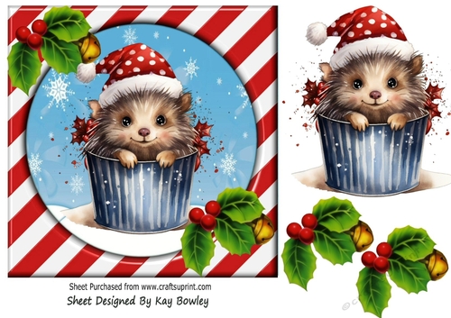 Cute Hedgehog In Santa Hat With Red/Stripe 7x7 Frame( Four)