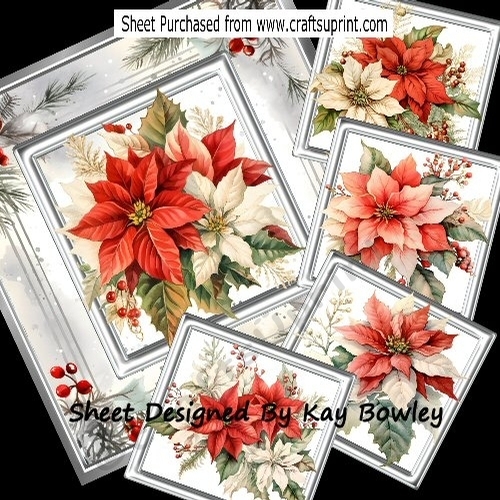 Lovely Holly Berry Frame/Card With Poinsettias 8x8 Mini Kit
