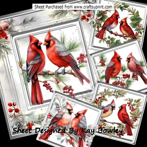 Lovely Holly Berry Frame/Card With Cardinal Birds 8x8 Mini Kit