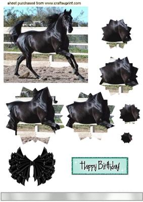 Black Beauty Star Pyramids