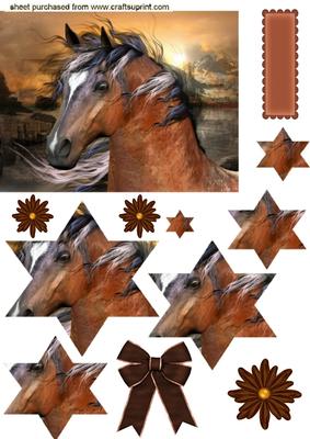 Beautiful Brown Horse Star Pyramids