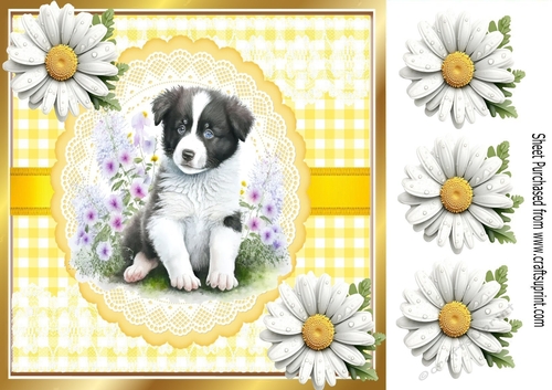 Cute Border Collie Puppy , Yellow Gingham & Daisies 8x8 (one)