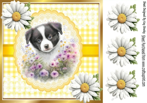Cute Border Collie Puppy , Yellow Gingham & Daisies 8x8 (Two)