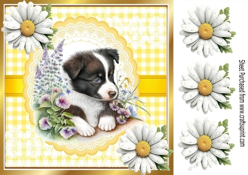 Cute Border Collie Puppy , Yellow Gingham & Daisies 8x8 (Three)