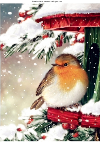Lovely Robin In The Snow House A4