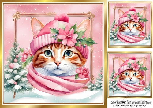 Lovely Cat in Hat & Scarf Pink Christmas 8x8 Frame (Two)
