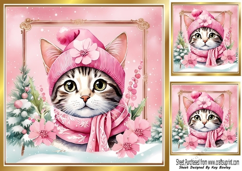 Lovely Cat in Hat & Scarf Pink Christmas 8x8 Frame (Three)