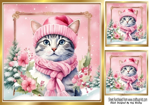 Lovely Cat in Hat & Scarf Pink Christmas 8x8 Frame (Four)