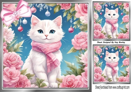 Lovely Cat In Silver 8x8 Frame With Pink Roses (One)