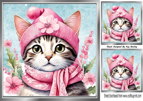 Lovely Cat In Silver 8x8 Frame With Pink Flowers 
