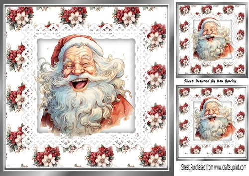 Pretty Winter Flowers With Santa On Lace/ Backing Paper 8x8 Card