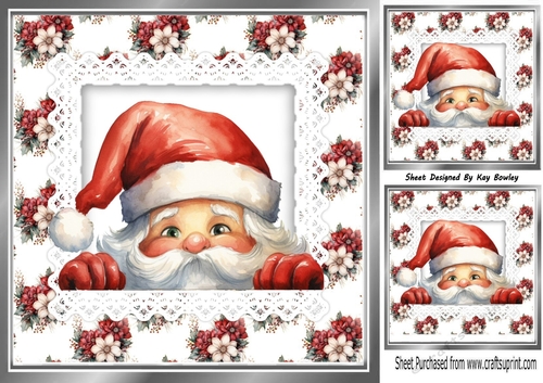 Pretty Winter Flowers With Peeking Santa On Lace 8x8 Card