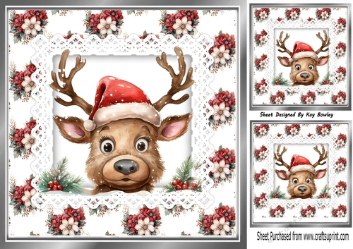 Pretty Winter Flowers With Peeking Reindeer On Lace 8x8 Card