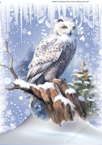 Lovely Snow Scene With White Owl A4 One