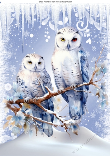 Lovely Snow Scene With White Owl A4 Two
