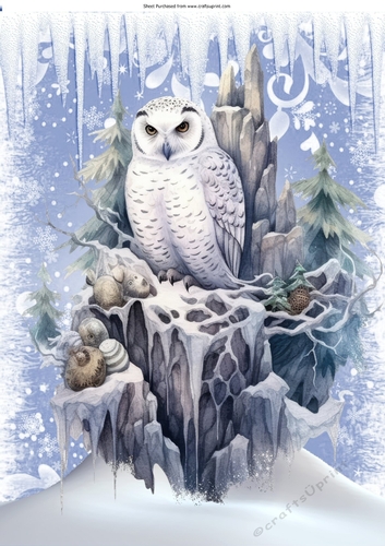 Lovely Snow Scene With White Owl A4 Three