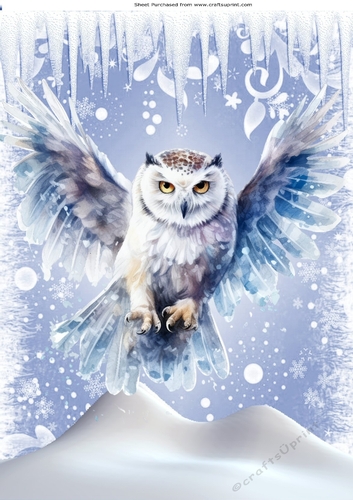 Lovely Snow Scene With White Owl A4 Four