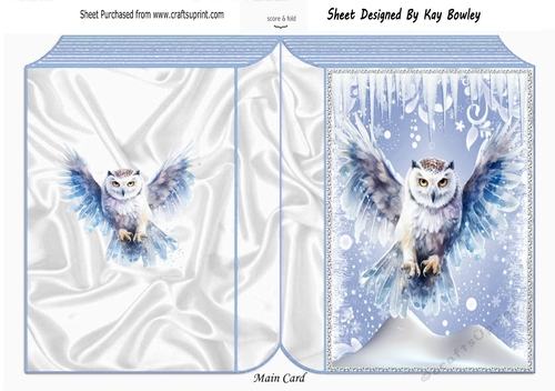 Lovely Snow Scene With White Owl Folded Book One