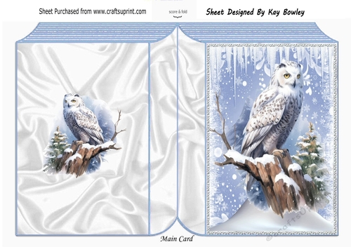 Lovely Snow Scene With White Owl Folded Book Two