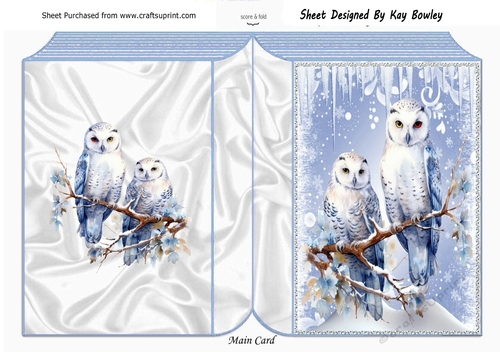 Lovely Snow Scene With White Owl Folded Book Three