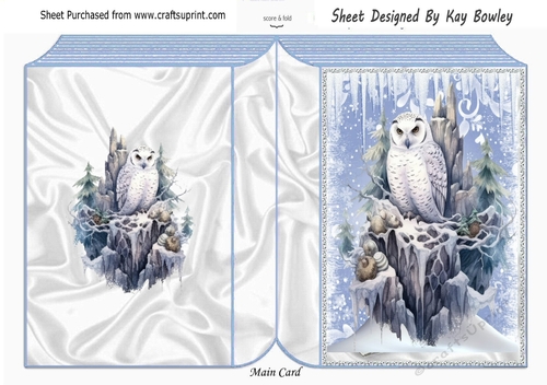 Lovely Snow Scene With White Owl Folded Book Four