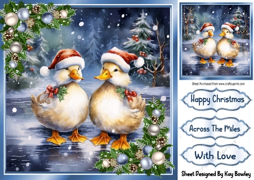 Cute Ducks In Santa Hats With Baubles 8x8 One