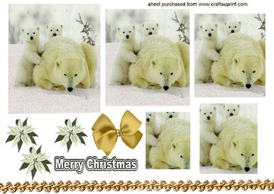 Baby Polar Bears with Mum Playing in the Snow Pyramids