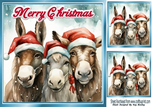 Lovely Christmas Donkeys In Santa Hats 8x8 Card Front One