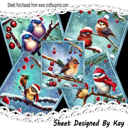 5 Pretty Winter Birds with Berries & Snow 8x8 Card Fronts Mini Kit