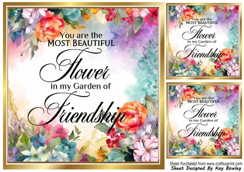Pretty Floral 8X8 Frame With FRIENDSHIP Sentiment (One)