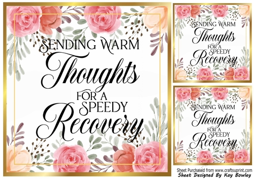 PrettY Peach Roses 8x8 GET WELL SPEEDY RECOVERY 