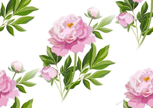 Pretty Pink Peonies Backing Paper (BIG ONE)