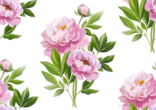 Pretty Pink Peonies Backing Paper (BIG THREE)